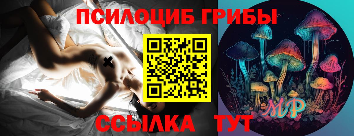 Мурманск  Галлюциногенные грибы Psilocybe  продажа наркотиков  Вход с VPN 