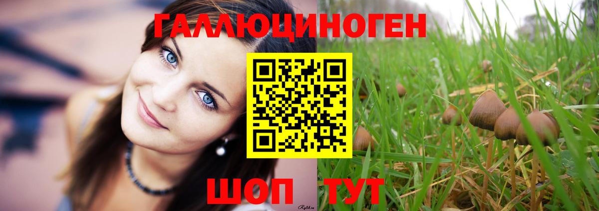 Псилоцибиновые грибы GOLDEN TEACHER Мурманск